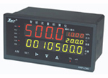 XWP-LD80系列智能流量积算控制仪